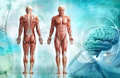 Interaksi Tubuh dan Lingkungan dalam Kehidupan Sehari-hari